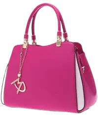 شنط فى سنغافورة