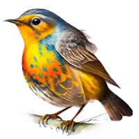 طيور و عصافير للبيع في سنغافورة : أفضل الأسعار