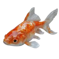 اسماك زينة وأحياء مائية للبيع في سنغافورة