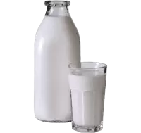 البان و اجبان فى سنغافورة