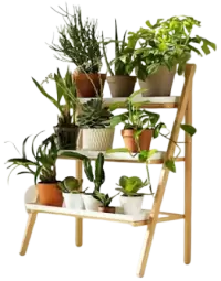 مشتل نباتات فى سنغافورة