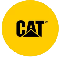 كات فى سنغافورة