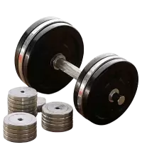 كمال الاجسام فى سنغافورة